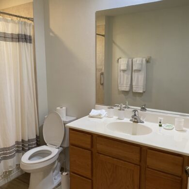 Custom Home Hall Bath before